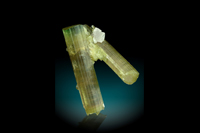 Tourmaline 3.5 cm&nbsp;&nbsp; &bull; &nbsp;&nbsp;Palwai Mine, Pakistan